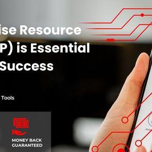 The Importance of Enterprise Resource Planning (ERP)