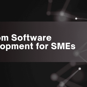 Custom Software Development: Empowering Nigerian SMEs for a Competitive Future