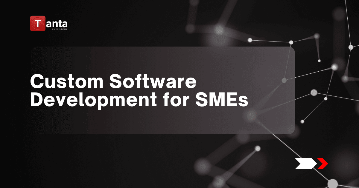 Custom Software Development: Empowering Nigerian SMEs for a Competitive Future